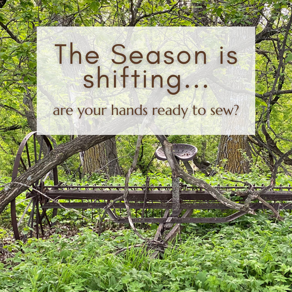 The Fall Season Is Starting To Set In
